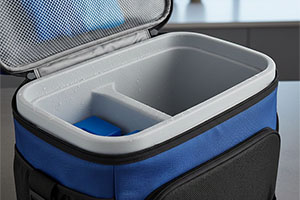 lunch bag with hard plastic liner